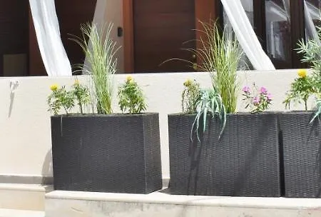 Apartament Kripis *